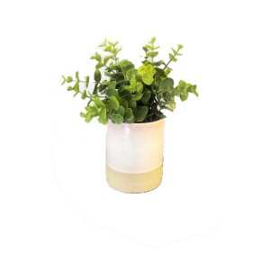 Small Green Plant (Flo219)