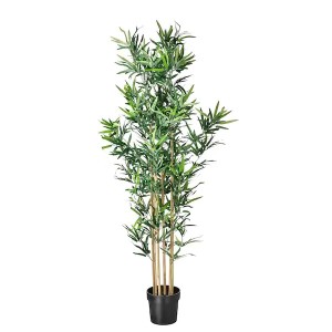 Bamboo Tall Tree (FLO312)